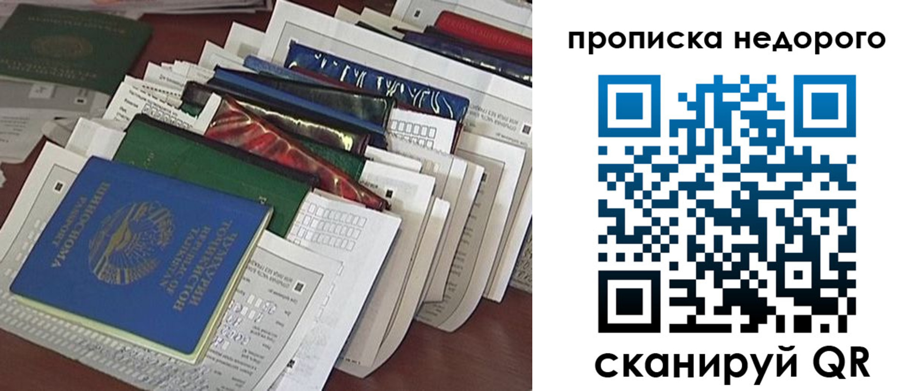 прописка гарантия в Фокино